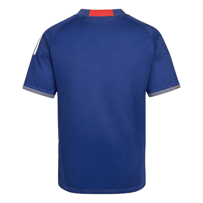 Retro Japon Domicile Maillot 2010 Bleu